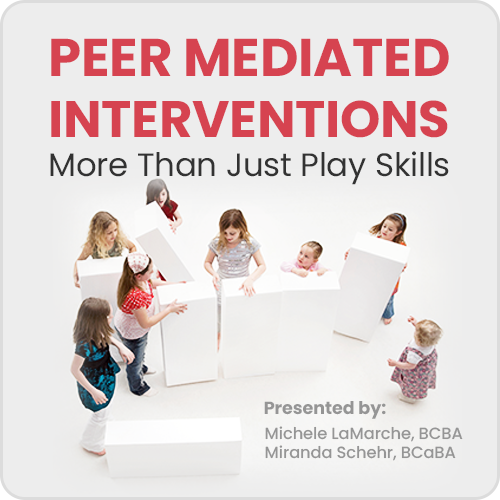 Peer Mediated Interventions- More Than Just Play Skills