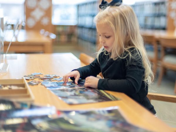 ABA Methods in Use: Teaching Puzzle Skills