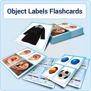Teaching Object Labels: Building Early Language with Flashcards