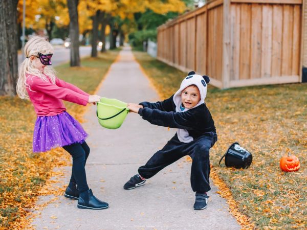 Siblings of Children with Autism: How to Meet Their Needs