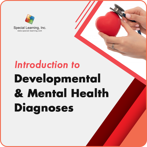 Introduction To Developmental And Mental Health Diagnoses